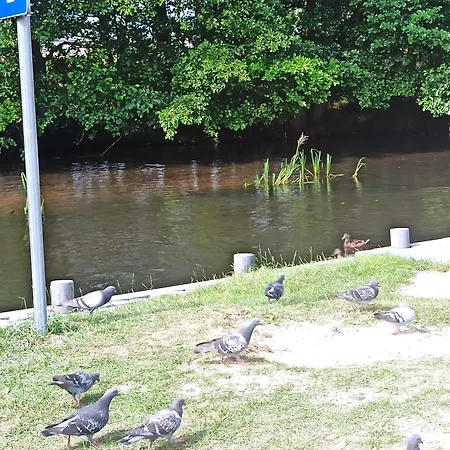 Reda-centrum * レダ