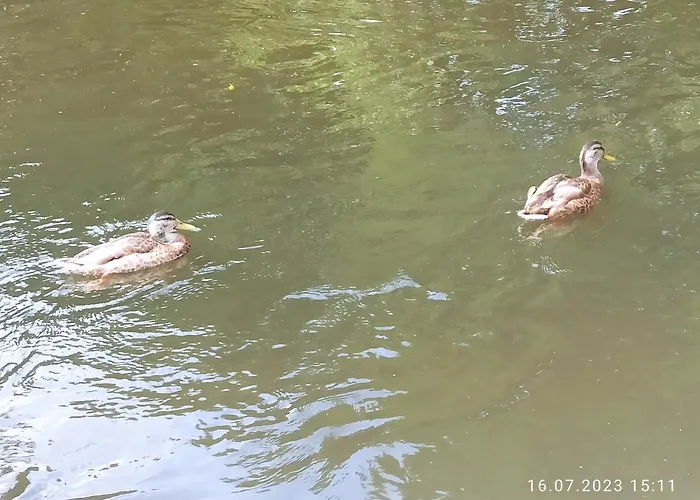 Reda-centrum 公寓 *