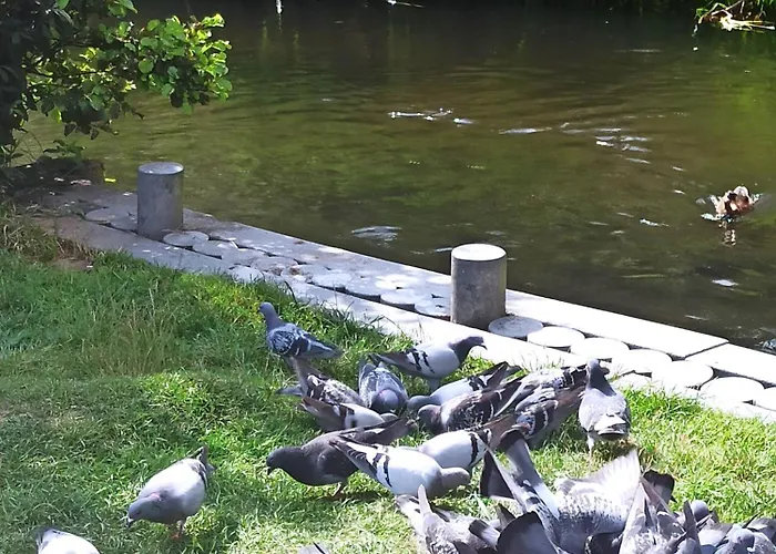 公寓 Reda-centrum 雷达